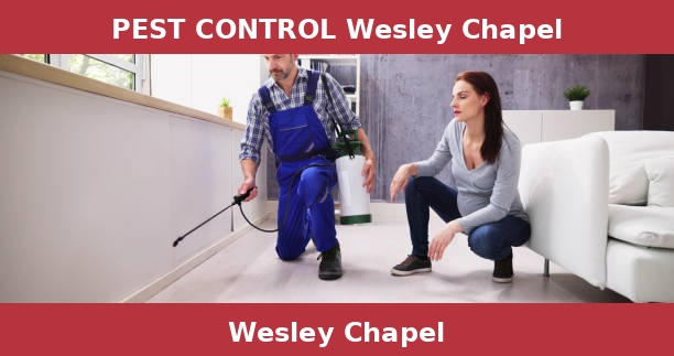 PEST CONTROL Wesley Chapel
